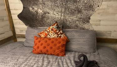 Cabin 1 Remote cabin next to Sam Houston National Forest - Foto 5