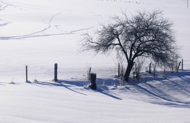 Panoramic Stay, Schmallenberg - Foto 27
