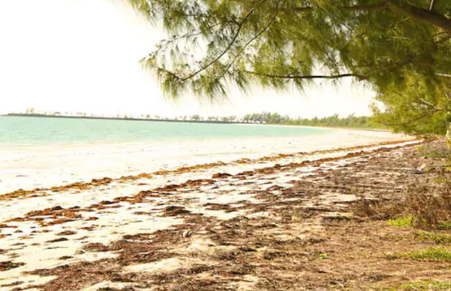 Nathan's Lodge - Photo 39