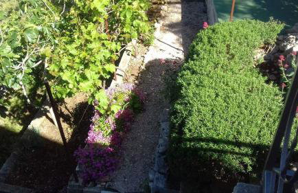 Apartment Teuta - Foto 34