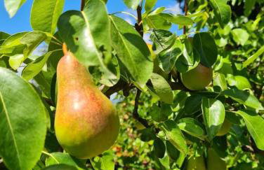 La Mia Storia With Hot tub - Foto 117