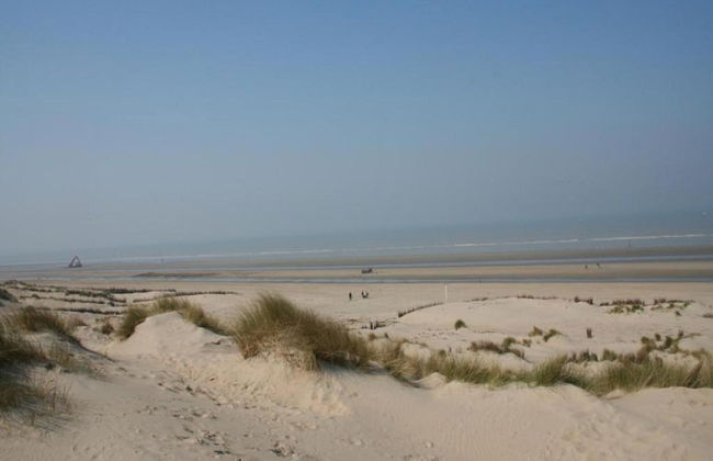 Oostduinkerke Forestside Villa - Foto 38