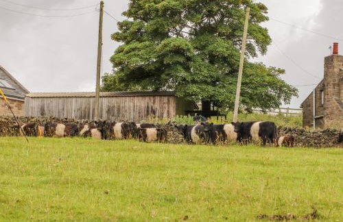 The Herdsman Luxury Shepherds Hut - Foto 33