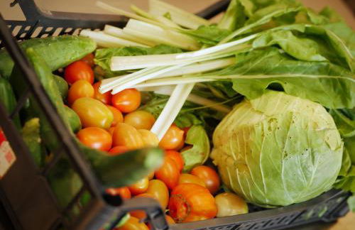 Agriturismo Quadrifoglio Relax - Foto 95