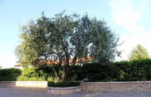 Apartments Dalia - Foto 60