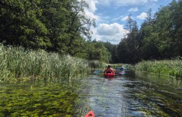 Oaza Relaksu Wigry -domek na wyłączność - Foto 43