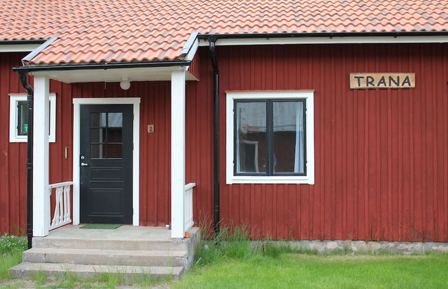 Johannisholm Adventure - Foto 10