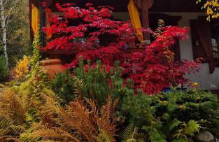 Domek w Karkonoszach - Foto 45