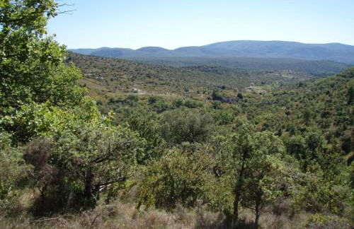 Lespine-10 min Caverne Pont d'Arc - Foto 8