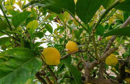 Villa Cristani - Foto 6