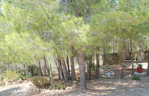 34 Sant Jordi - Foto 8