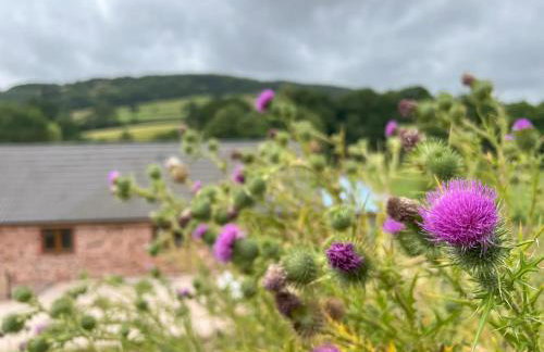 The Barn at Burfords with wood fired hot tub - Foto 15