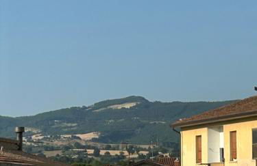 Il Paradiso Delle Farfalle - Foto 12