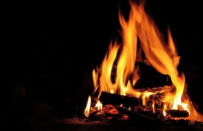 Bimal Farm Home Stay - Foto 48