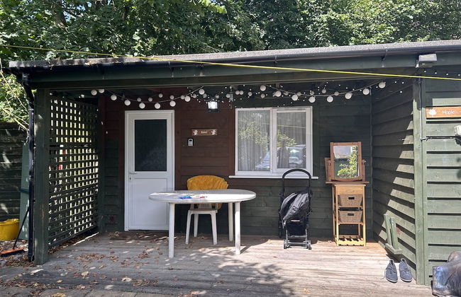 Reed by Paymán Club - Photo 1