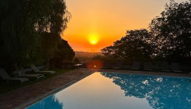 Il palmento - Foto 3