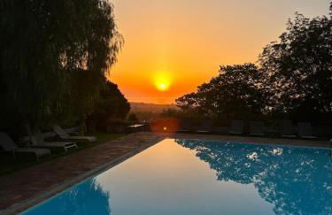 Il palmento - Foto 3