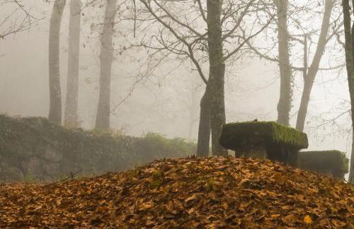 Quinta do Caritel - Foto 42