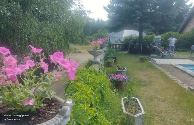 Agroletnica Country house - Foto 55