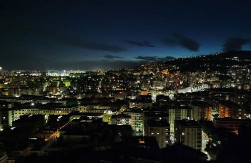 Donny Dude Panorama - Foto 29