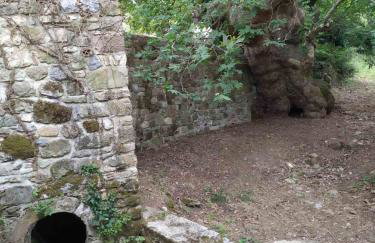 Antoneiko house - Foto 13