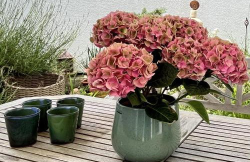 Holiday Home Seepanorama by Interhome - Foto 51