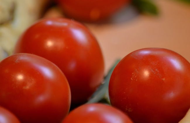 Room in Apartment - Two-room Apartment - Foto 17