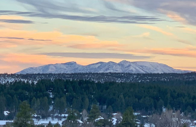 Elk Rim 1140 Pine - Foto 1