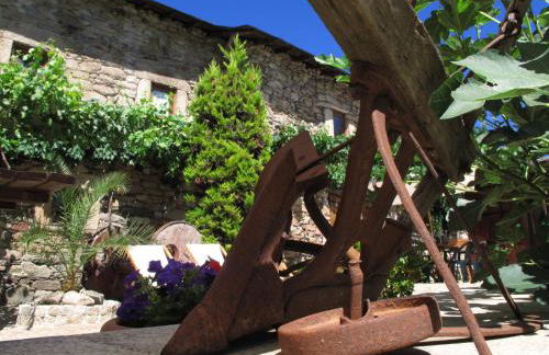 A Lagosta Perdida - Foto 11