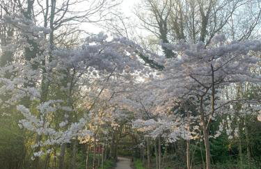 Liverpool Coco House - 3 Bedrooms - Foto 67