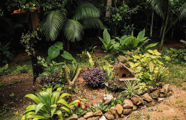 Sitio Cantinho Vovó Cida e Vovô Nilson - Foto 43