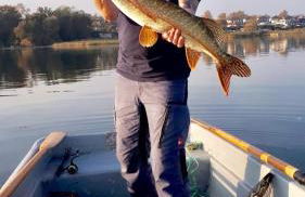 Fischerhus mit Boot,Sauna und Kamin je Seite - Foto 44