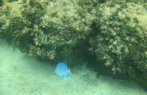 Sanzé Flats - São José da C Grande - Foto 35