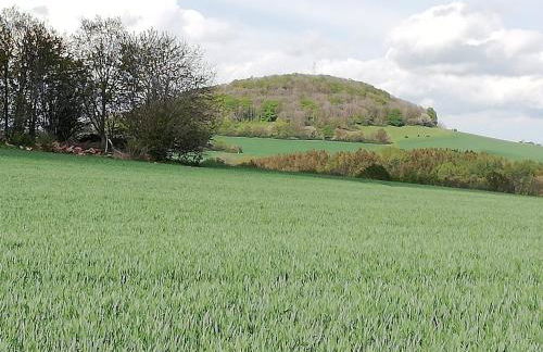 Ferienwohnung an der Reitanlage - Foto 14