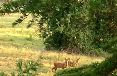 Grande Maison de famille, 12pers, Piscine privée, Vallée du Lot & Bastides - Foto 47