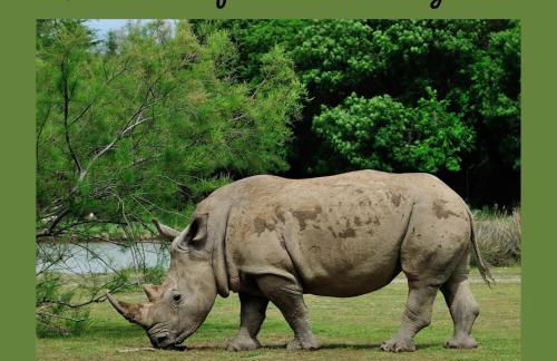 Studio Marceau Clim Wifi Centre ville 2 pers - Foto 15