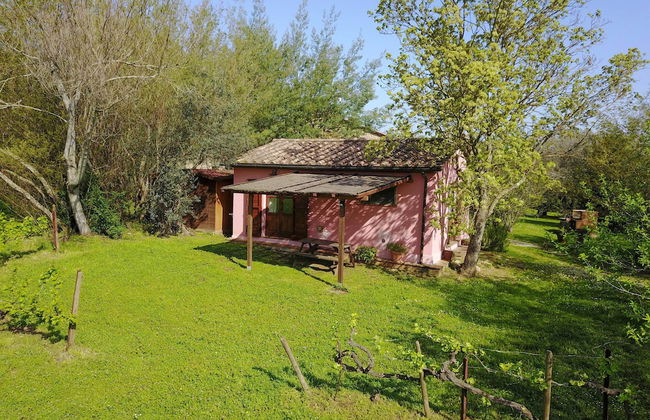 Casale Vigna Carbona - Foto 56