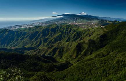 Suite Bufadero - Foto 43