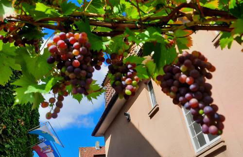 Moltkestrasse 89 - Foto 25