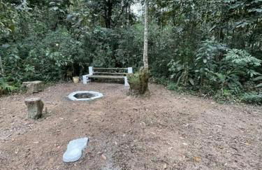 Bosque na Montanha Encantada - Foto 16