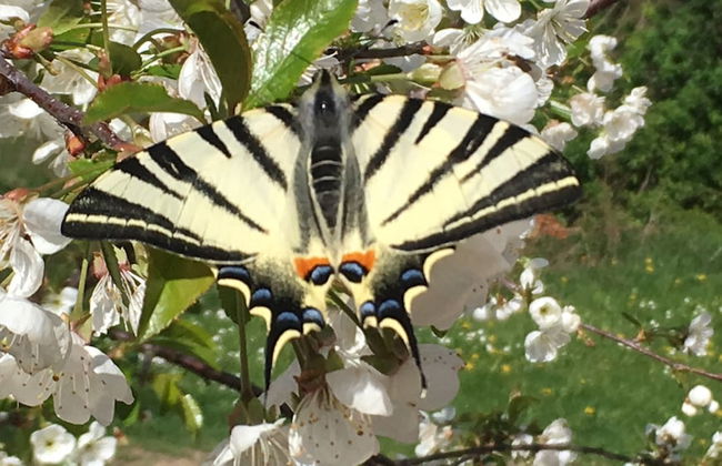 Il Nascondiglio - The Hideaway - Foto 64