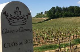 La Maison du Grand Four en Bourgogne, Au coeur de Vignes, Piscine et Sauna - Foto 35