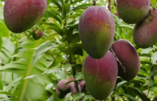 Villa Torre mit Pool und Bergpanorama - Foto 20