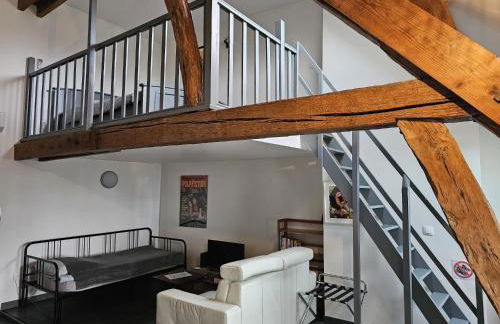 Beaugency-3 sur la route des châteaux - Photo 54