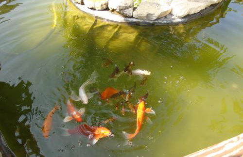 Aux Lauriers d'Adhémar - Foto 25