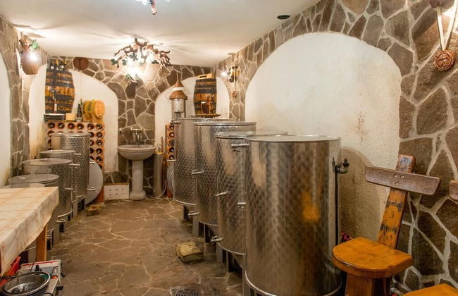 Vineyard Cottage Stepan - Foto 11