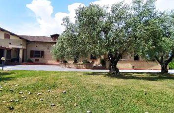 Casolare L'Antico Olivo - Foto 10