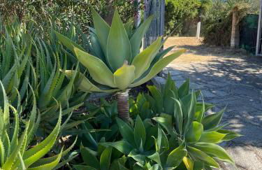 Sardinia Dream Home - Foto 23