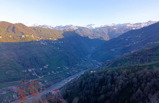 Seyri Alem Suite Bungalow - Foto 51