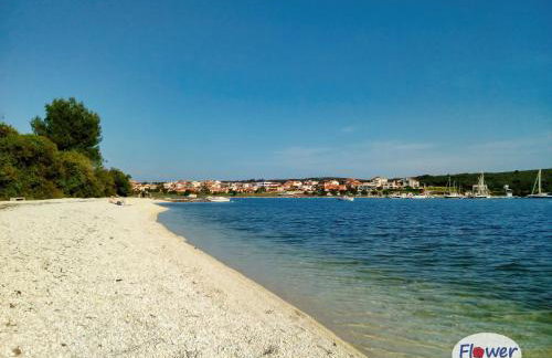 Romantic Apartment Flower - Photo 31